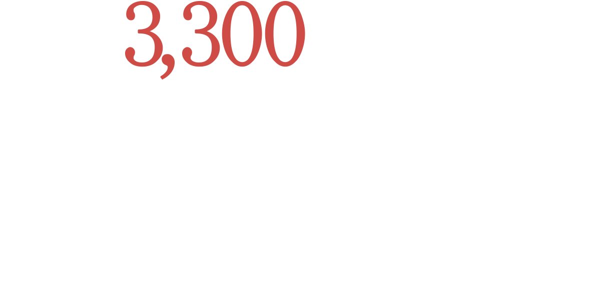 月額 3,300円のみから始める個人事業主、中堅中小企業専門の格安ホームページ制作。